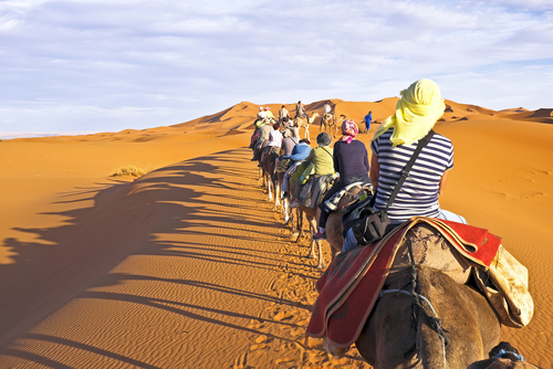 Camel,Caravan,Going,Through,The,Sand,Dunes,In,The,Sahara