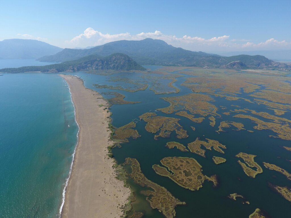 Photo by Lokman Sevim : https://www.pexels.com/photo/drone-shot-of-sea-shore-10621604/